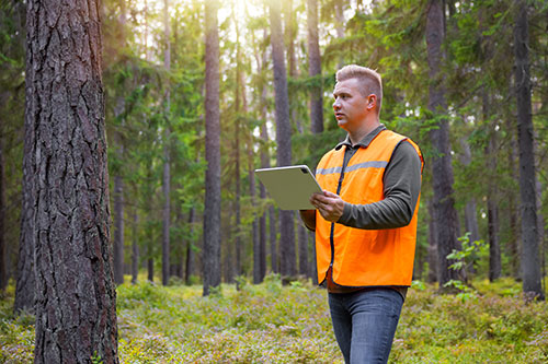 Man in the forest with a tablet