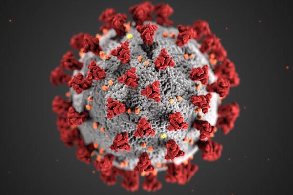 Novel coronavirus digital rendering