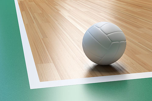 Volleyball on a court